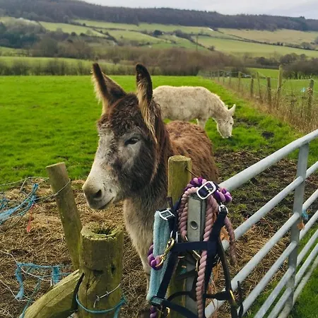 The Grainary Tatil Evi Scarborough