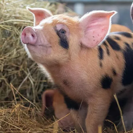 The Grainary Holiday home